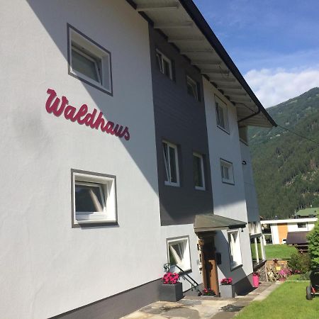 Waldhaus Lechner Steinerkogel Apartment Майерхофен Екстериор снимка
